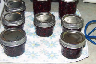 Blackberry jam jars cooling